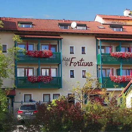 福耳图那公寓式酒店 4* 巴特乔京